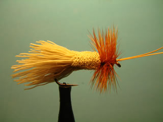 Goddard Caddis (10-18)